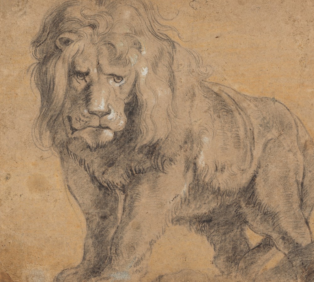 Lion (c. 1612-1613)