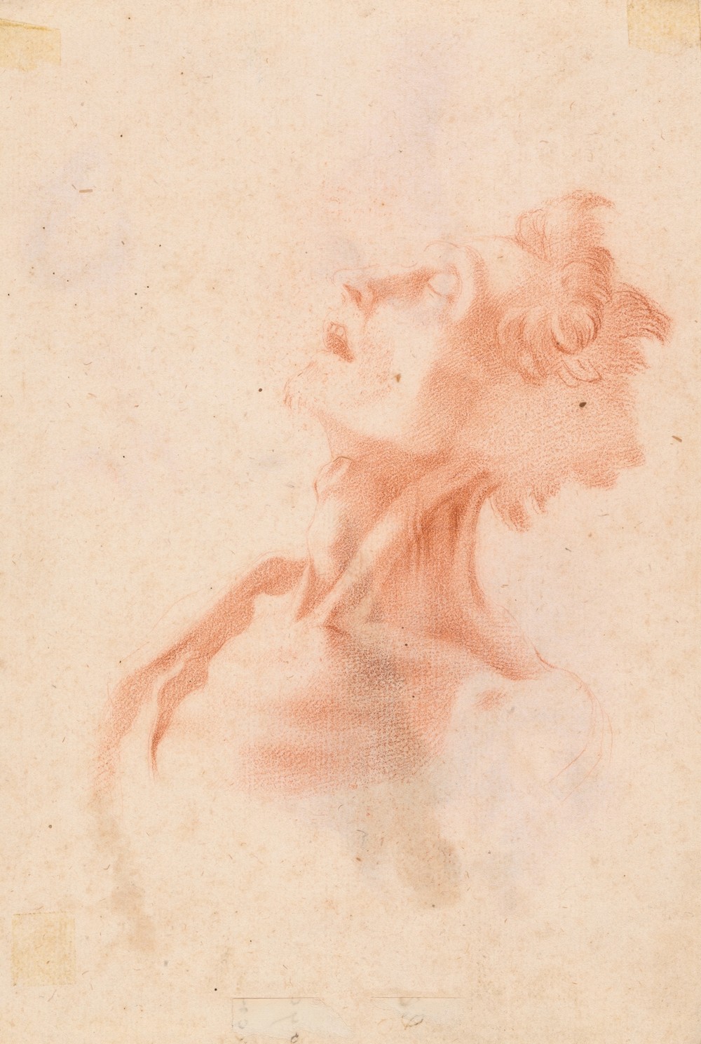 Head of a Man, Face in Profile (18th century)