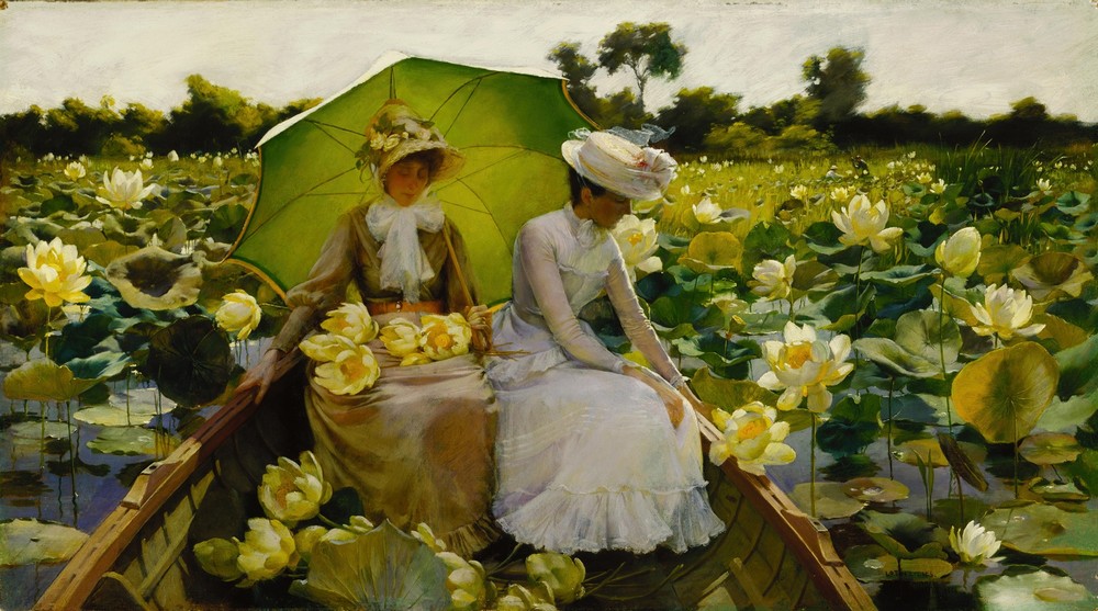 Lotus Lilies