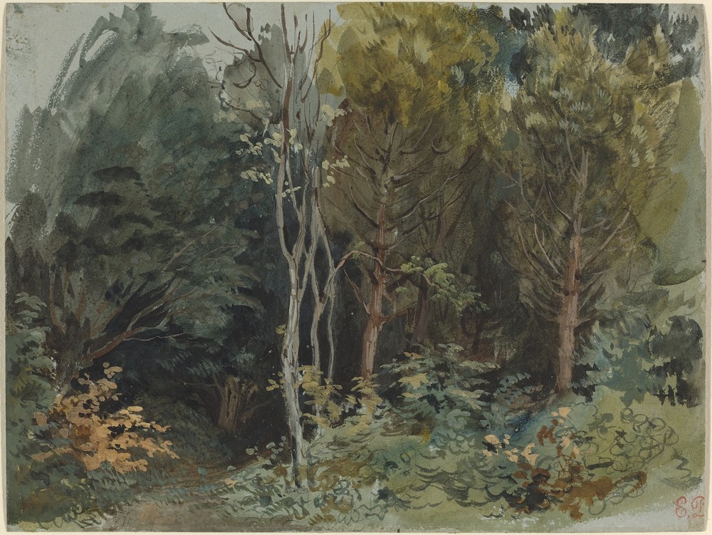 The Edge of a Wood at Nohant (c. 1842-1843)