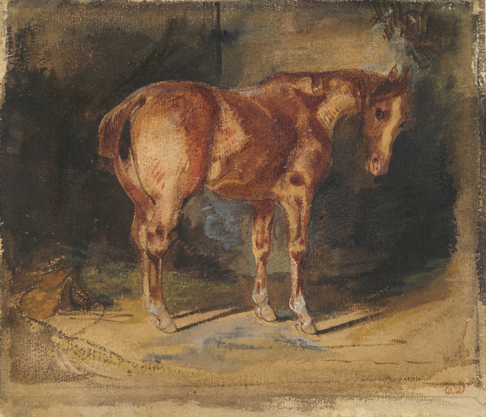 Study of a Horse