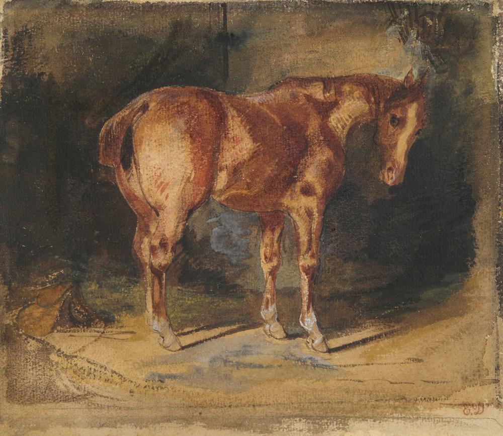 Study of a Horse