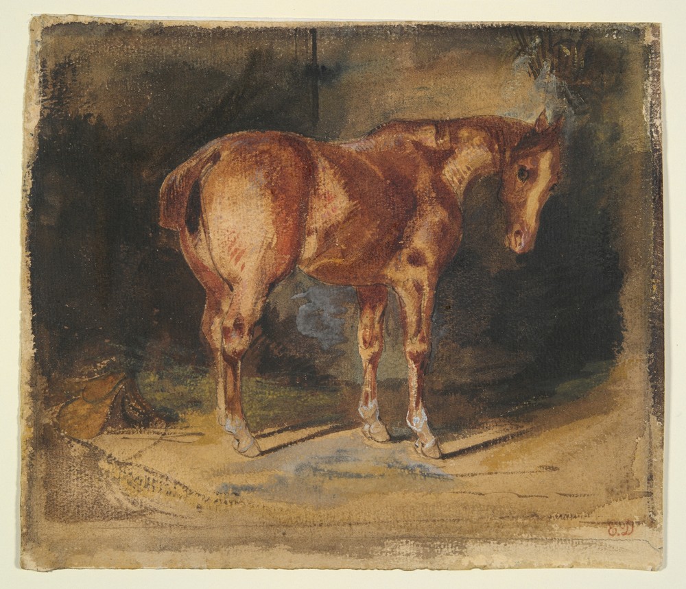 Study of a Horse-1