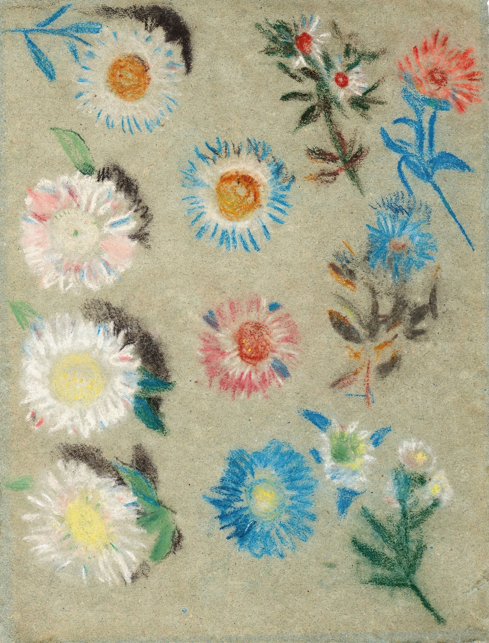 Étude de fleurs