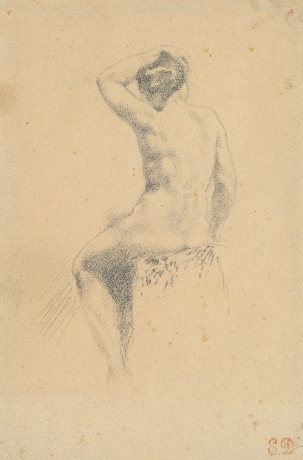 Female Nude Seen from the Rear