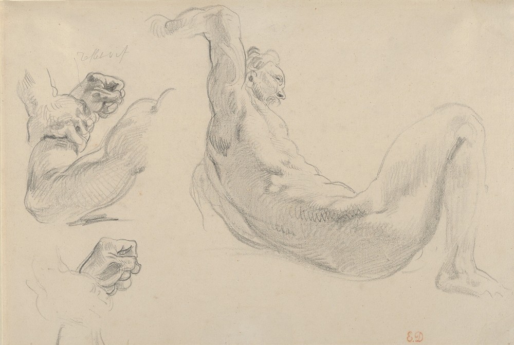 Studies of a Fallen Male Nude for ‘Hercules and the Horses of Diomedes’