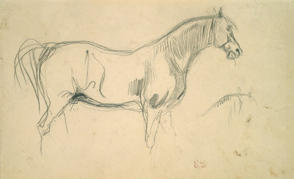 Studies of a Horse in Profile (1823–30)