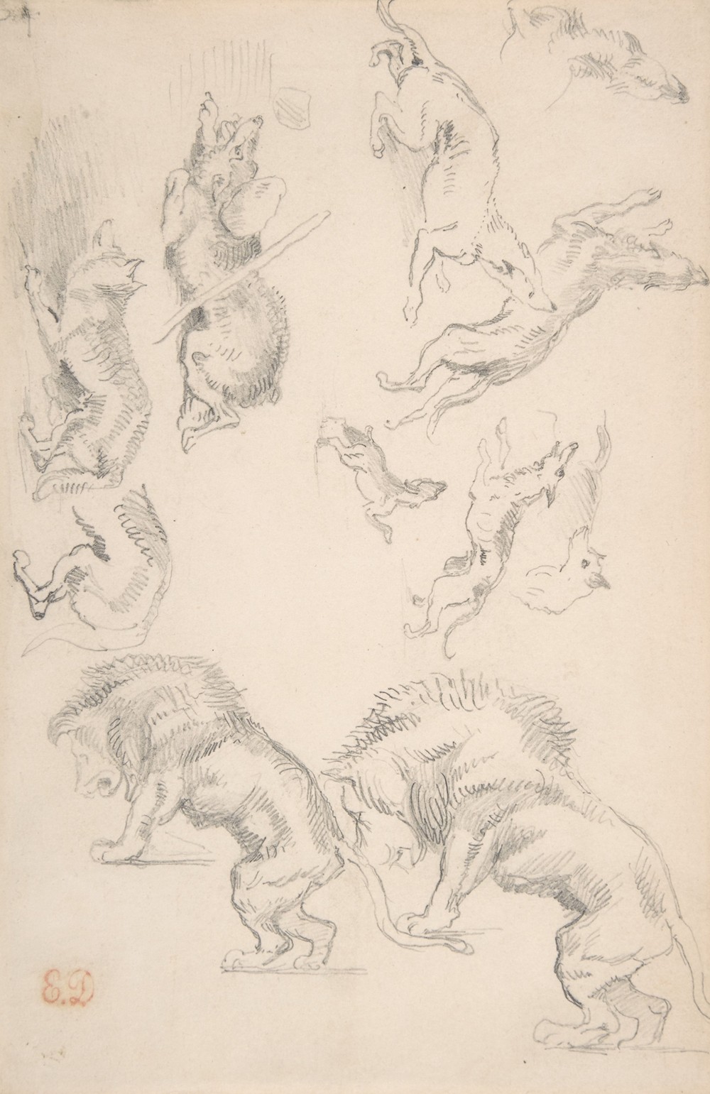 Studies of Animals (1810–63)