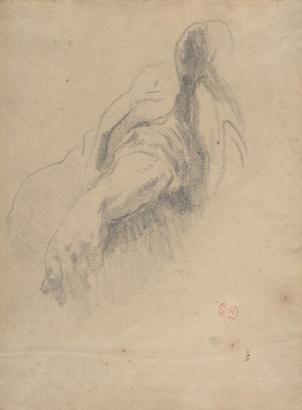 Study of a Left Arm and Hand (1815–63)
