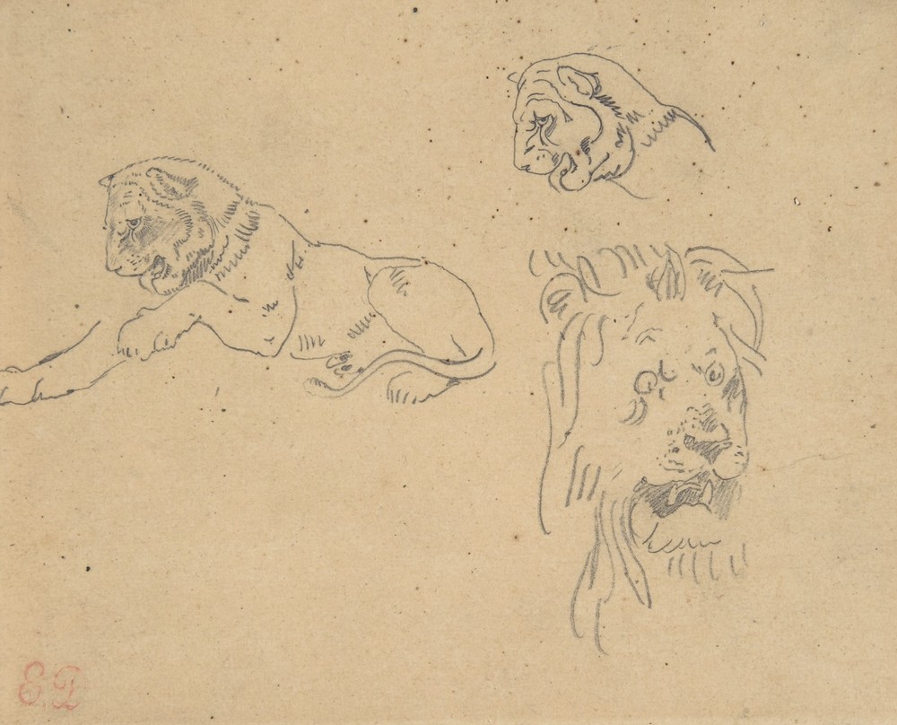 Three Studies of a Lion (1815–63)