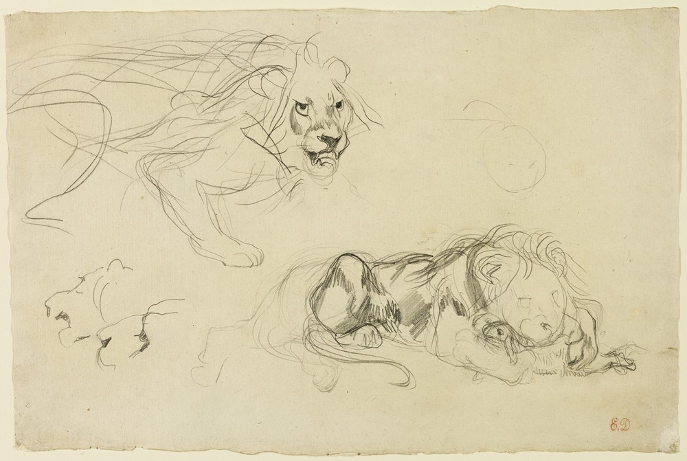 Studies of Lions (c. 1829)