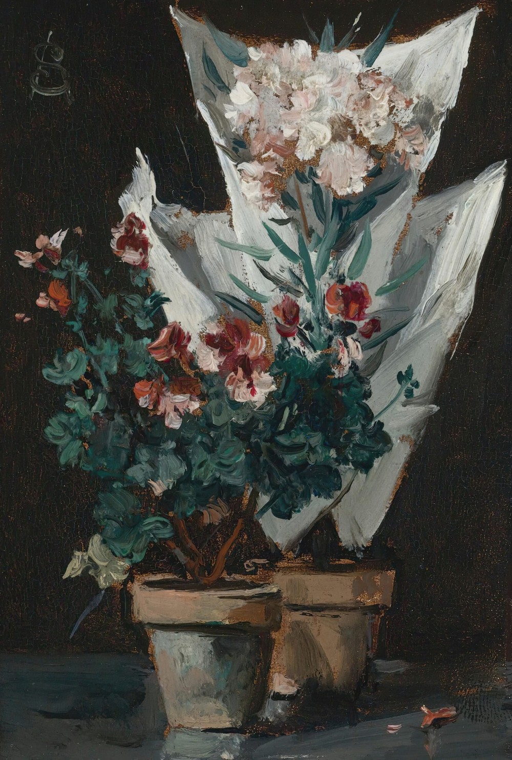 Still life with potted geraniums