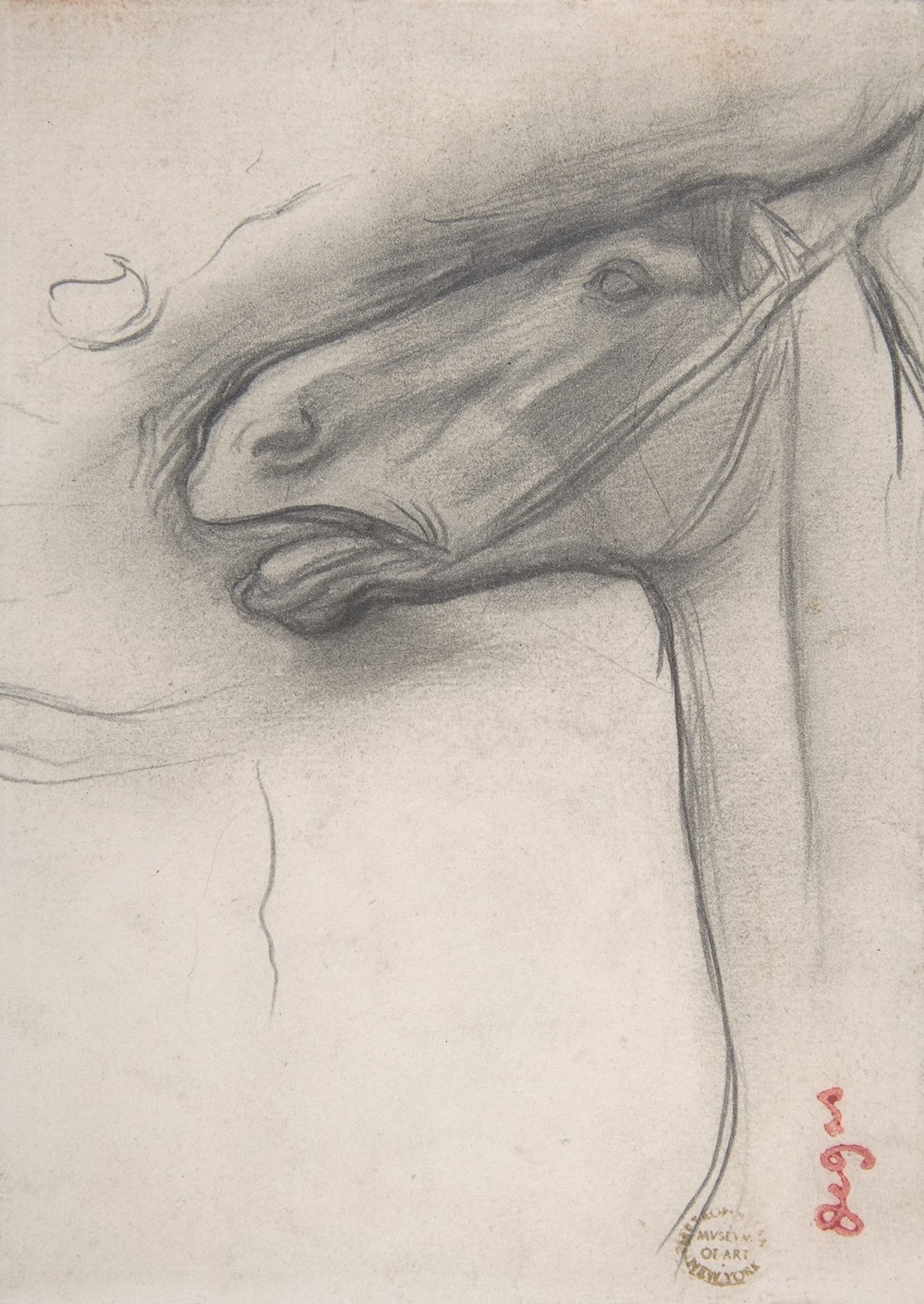 Head of a Horse (ca. 1878)