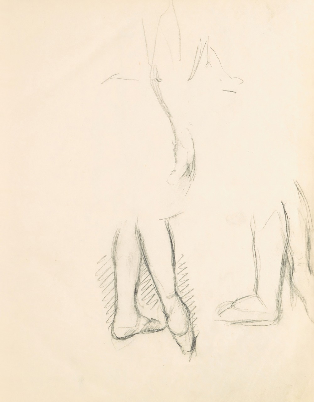 Figure Studies 13 (1882–85)
