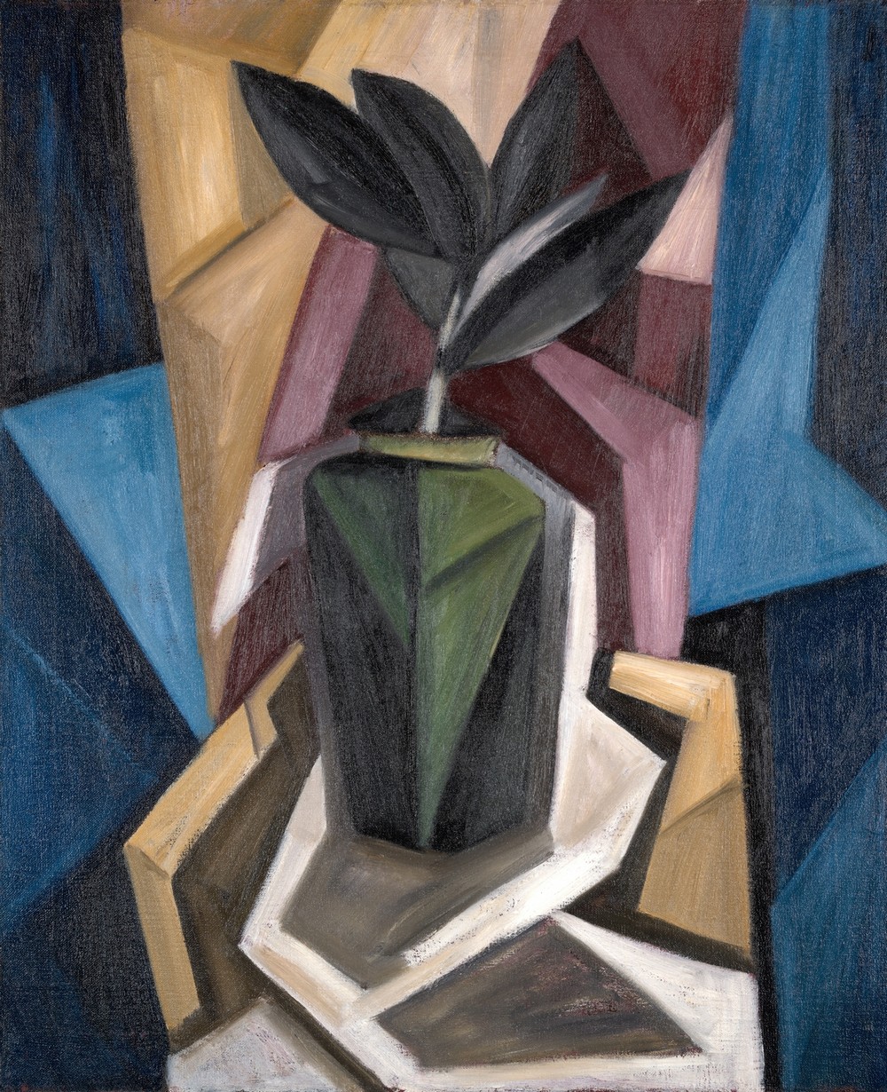 Rubber Plant