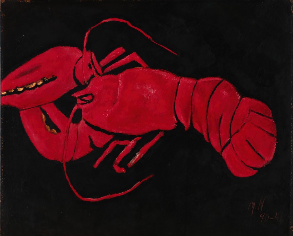 Lobster on Black Background