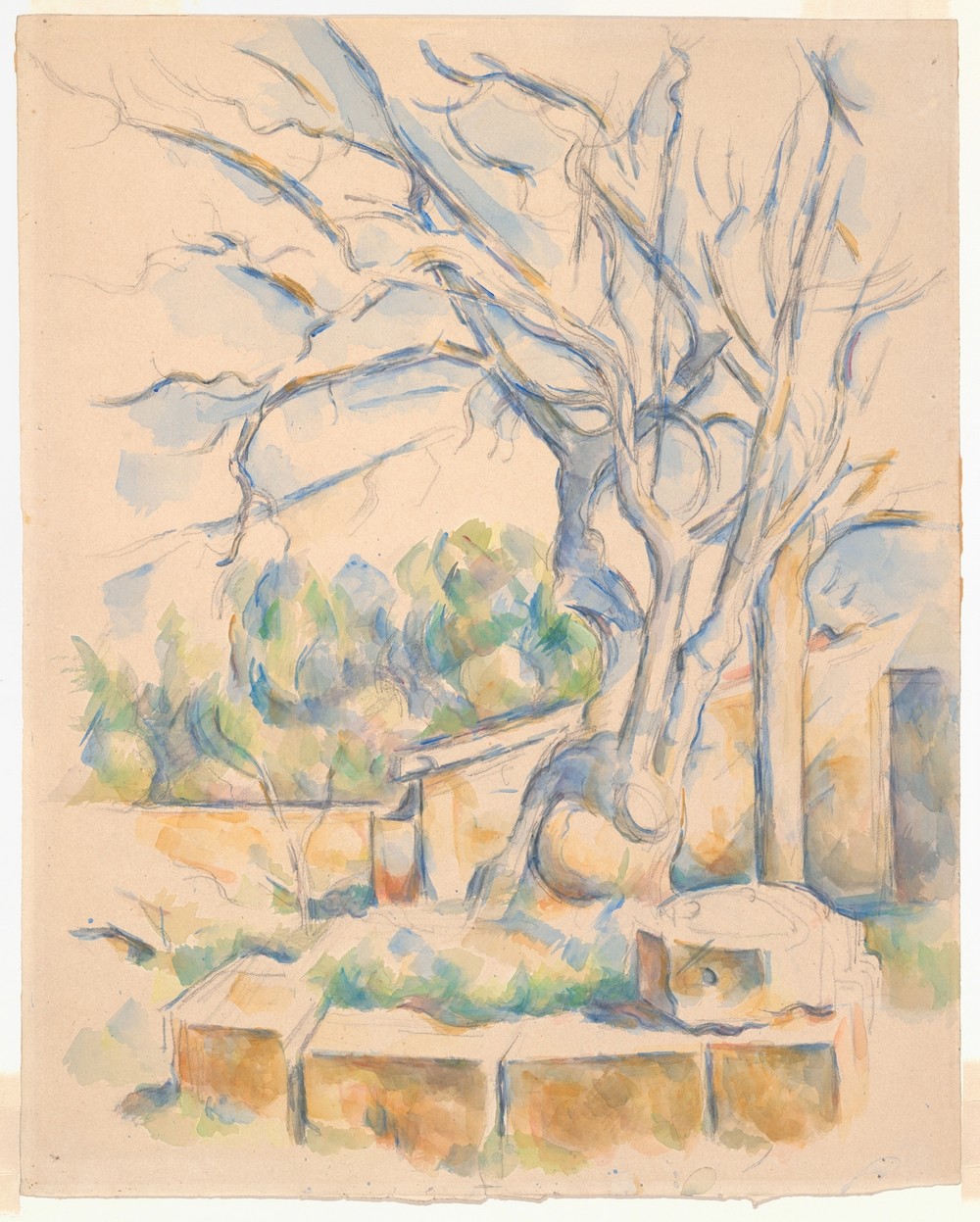 Pistachio Tree at Château Noir (c. 1900)