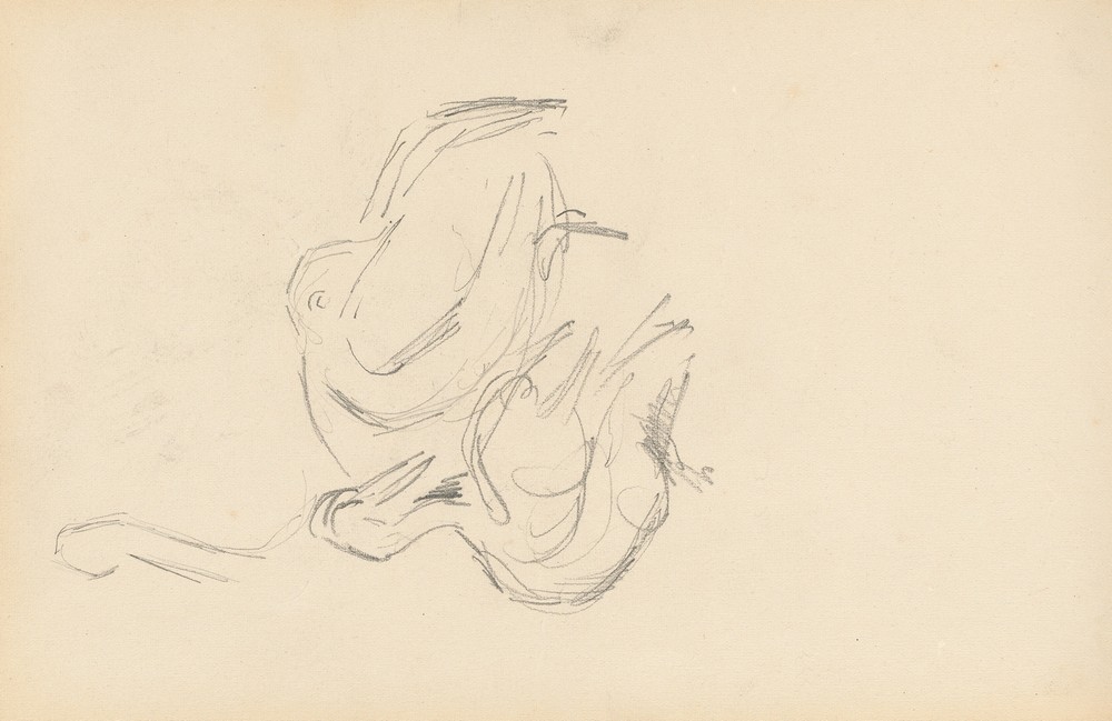 Pelicans