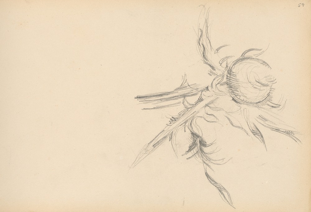 Thistle