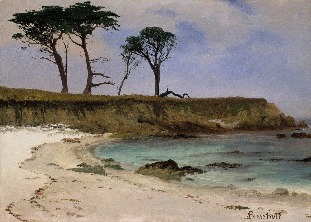 Sea Cove (ca. 1880–90)