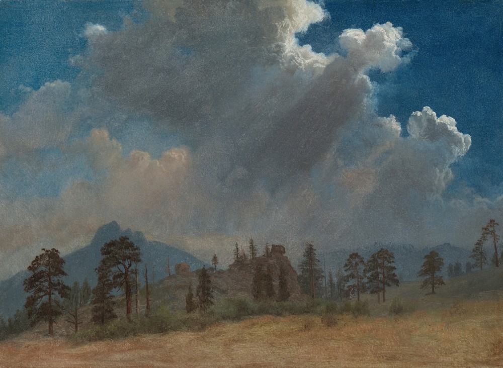 Fir Trees and Storm Clouds (c. 1870)