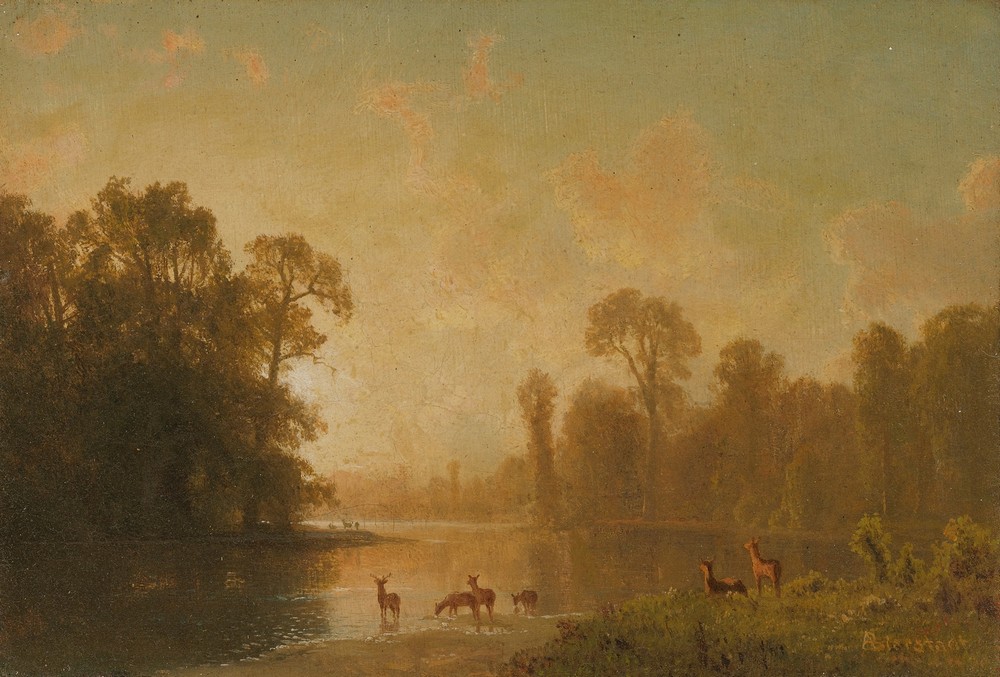 Twilight With Deer