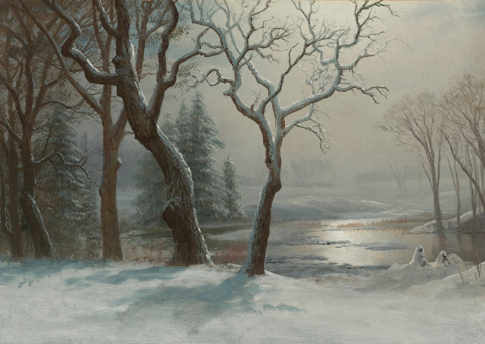 Winter In Yosemite