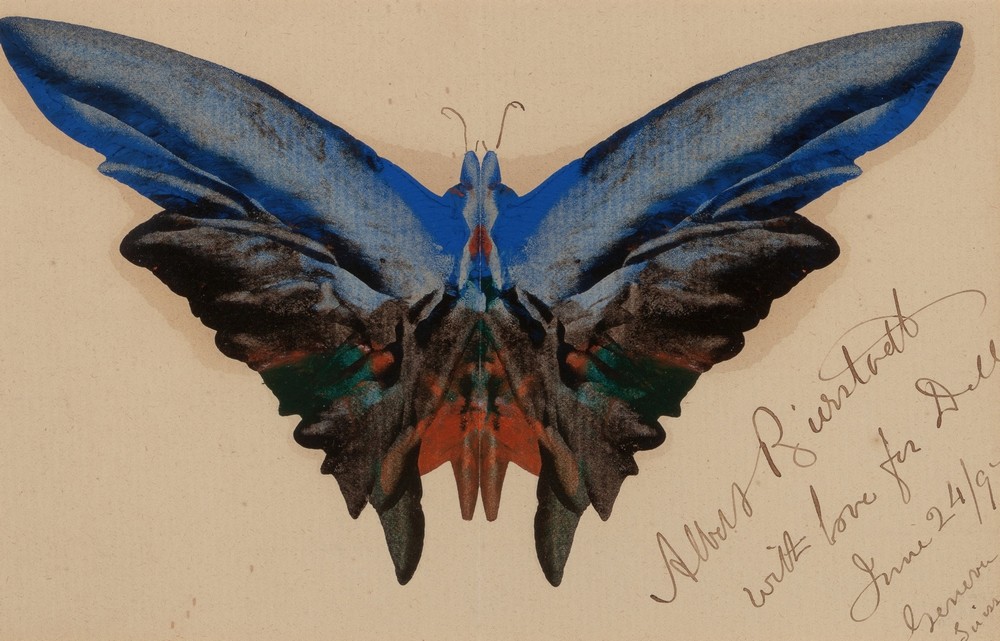 Butterfly, For Dell