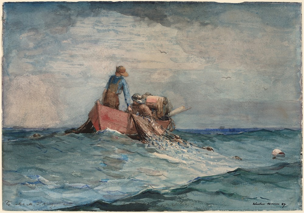 Hauling in the Nets
