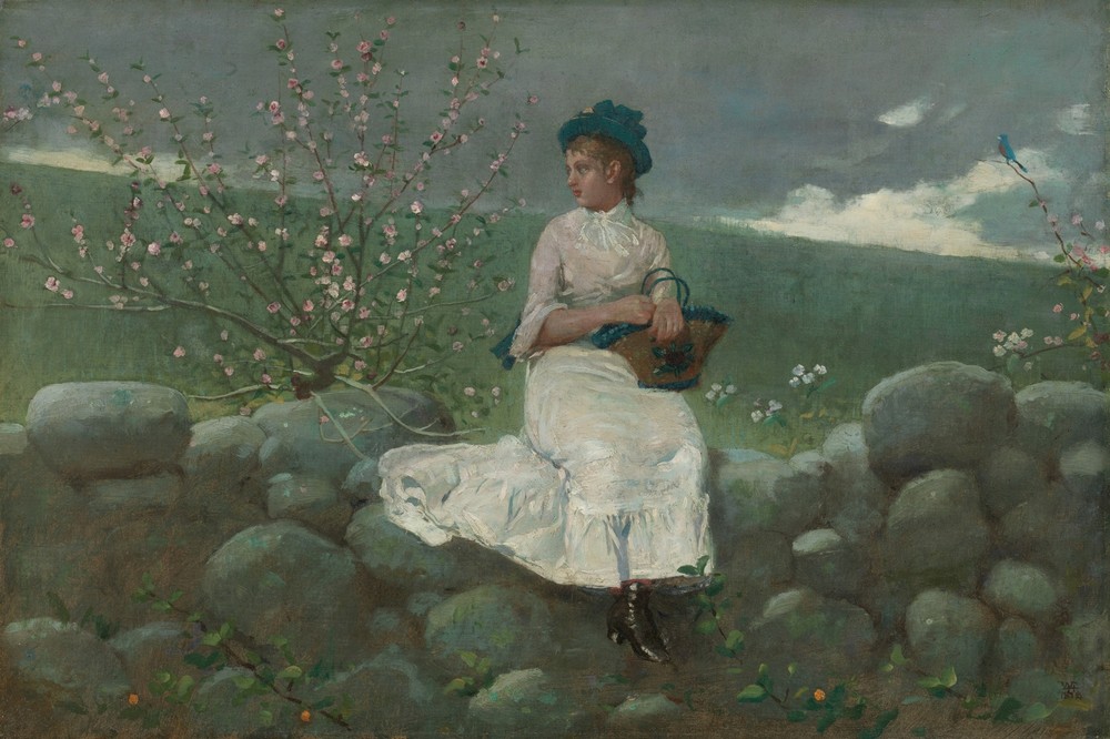 Peach Blossoms