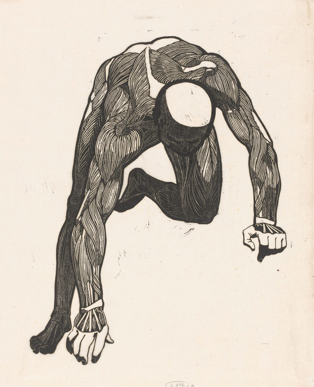 Anatomical study of the neck, arm and leg muscles of a man, Reijer Stolk