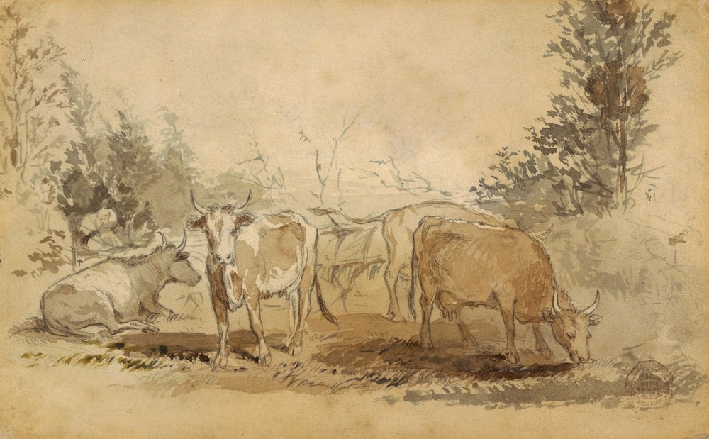 Cows in a Pasture