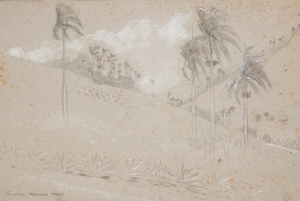 Cuban Hillside