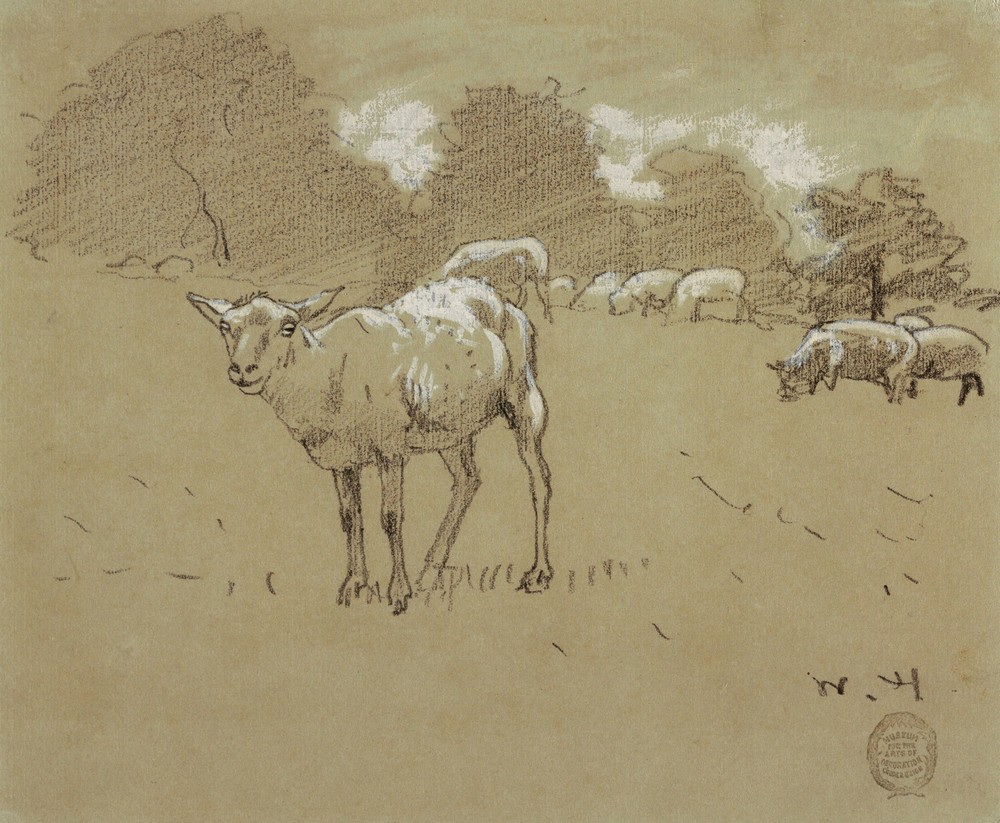 Sheep Grazing in a Field