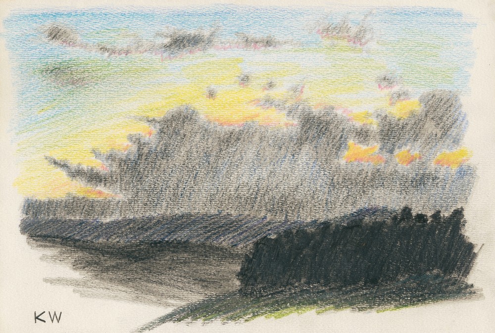 Naturstudie XVIII