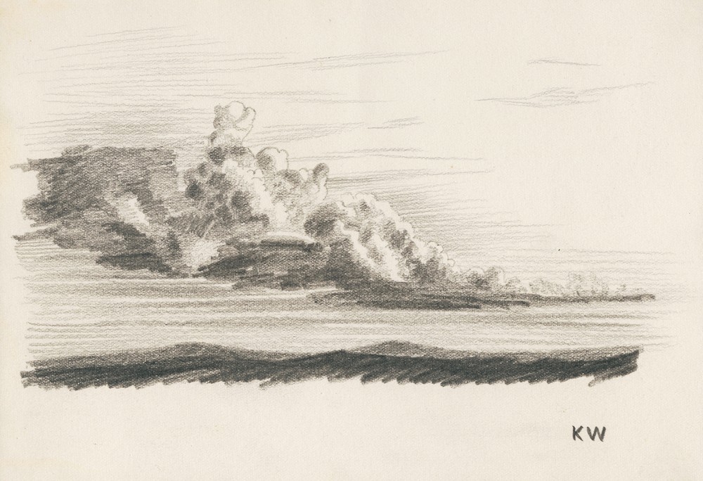 Naturstudie XXIV