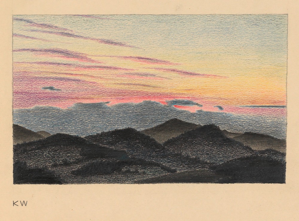 Ohne Titel (Naturstudie) I (around 1924)