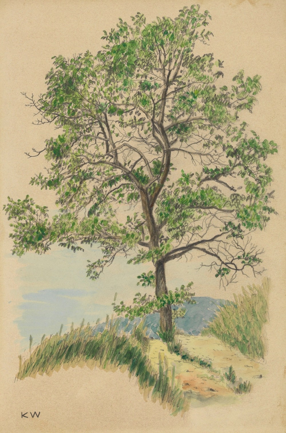 Ohne Titel (Laubbaum und Weg) (around 1924)
