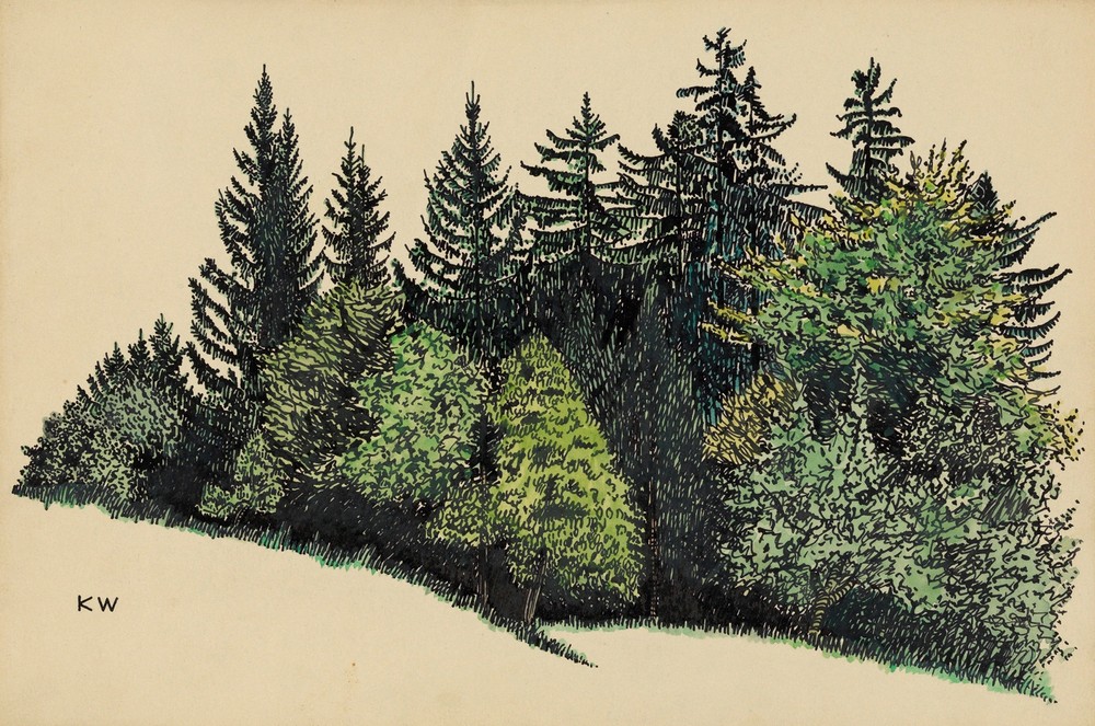 Ohne Titel (Waldstück) (around 1924)