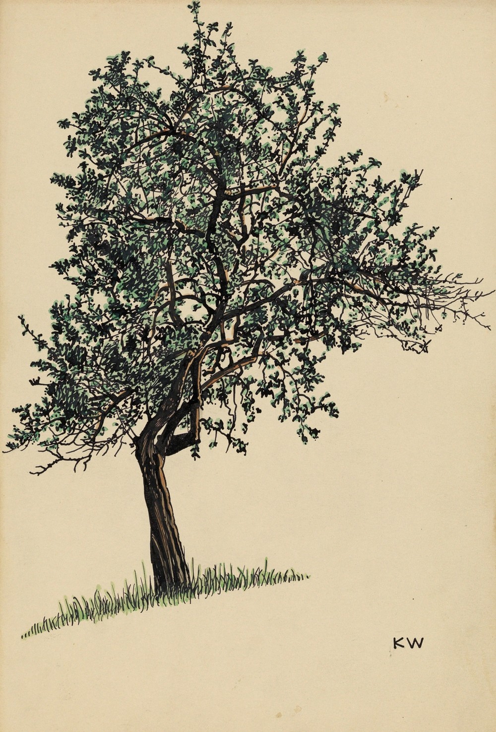 Ohne Titel (Laubbaum) (around 1924)