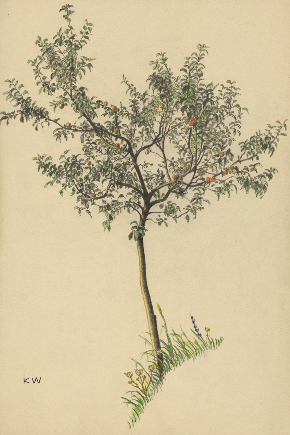 Ohne Titel (Obstbaum) (around 1924)