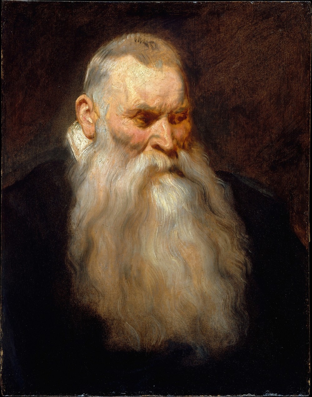 Study Head of an Old Man with a White Beard (ca. 1617–20)