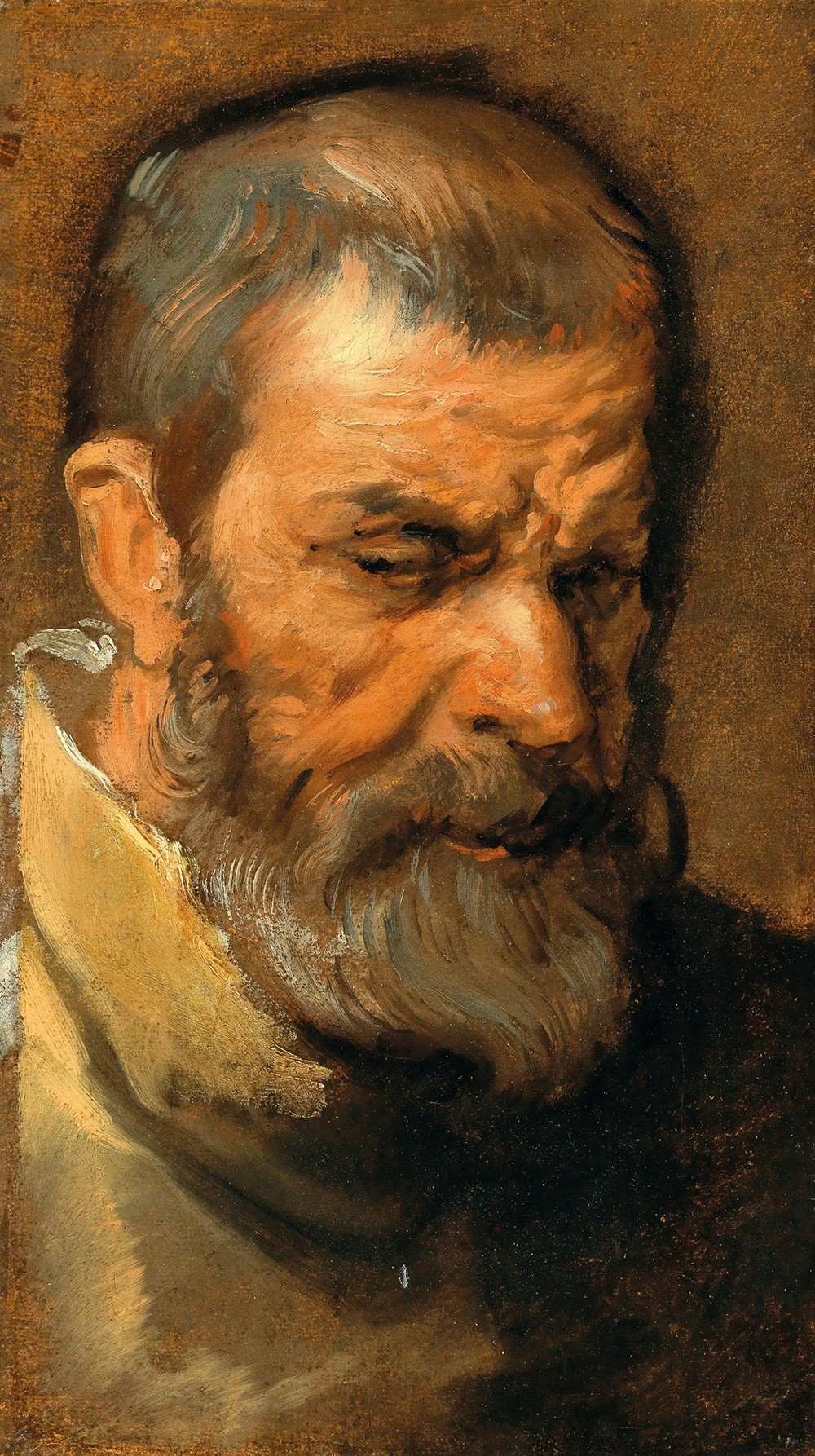 Head Of A Bearded Man