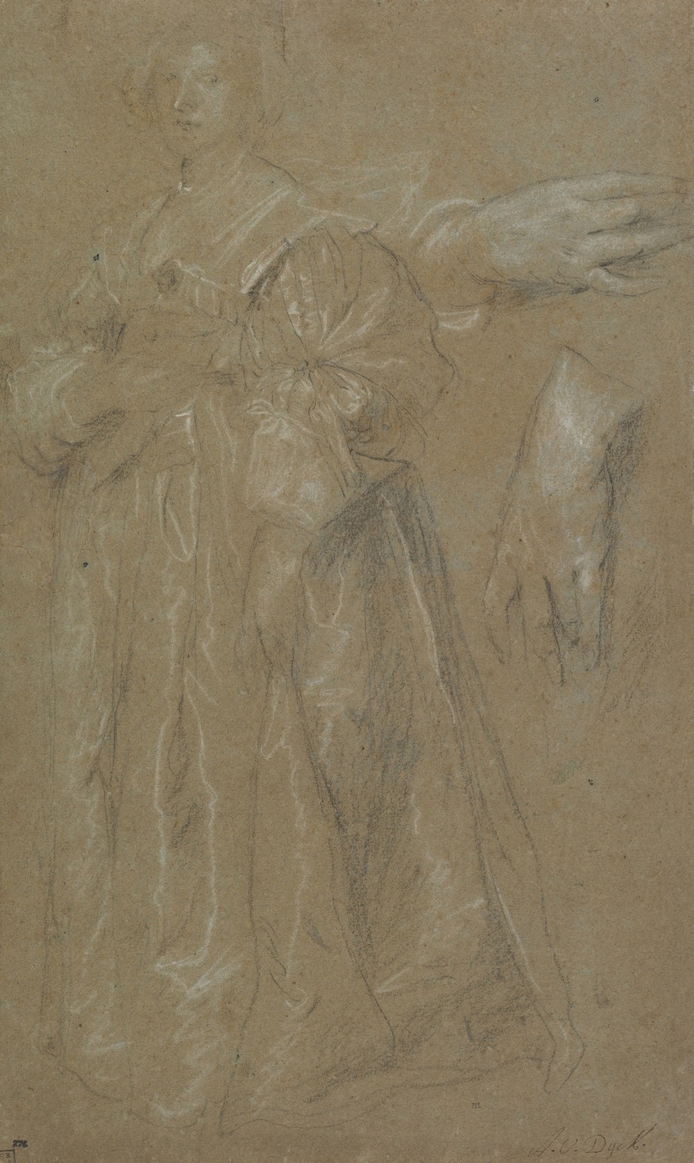 Study for a Portrait of a Lady (early 17th century)
