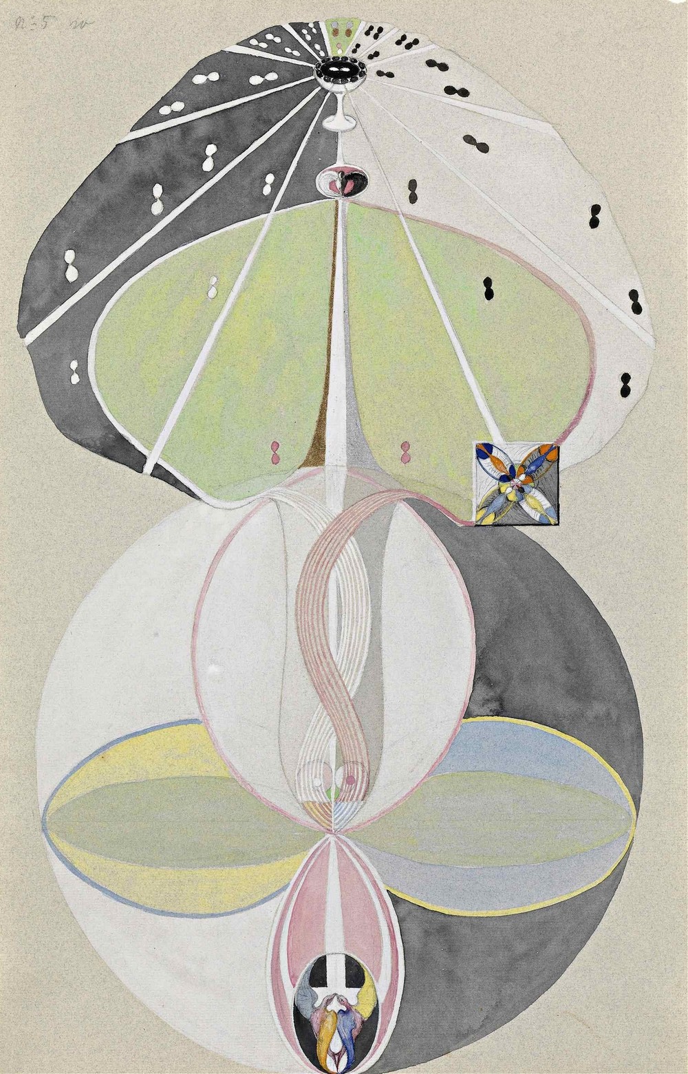 Tree of Knowledge No. 5