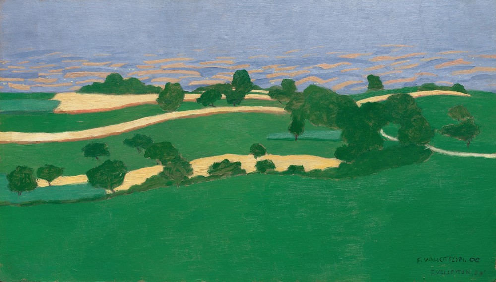 Corn Fields