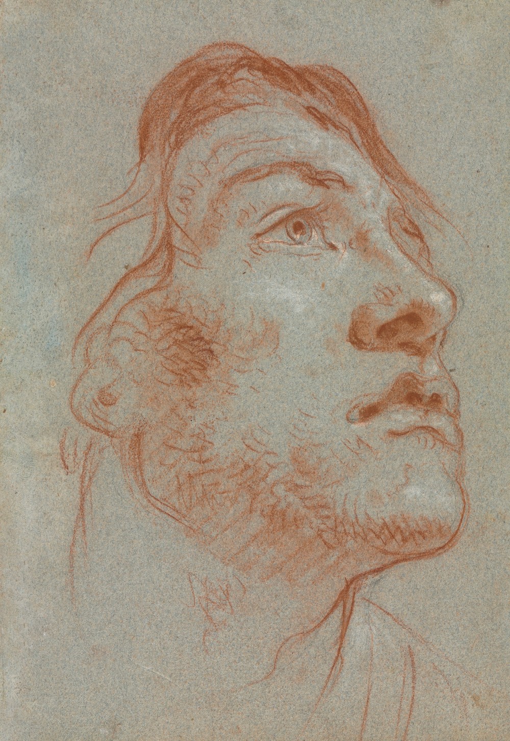 The Head of a Young Man Looking Upwards to the Right (before 1752)
