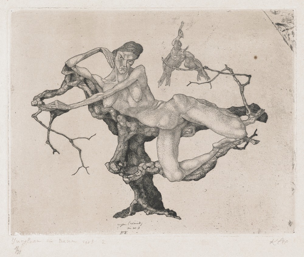 Virgin (Dreaming)