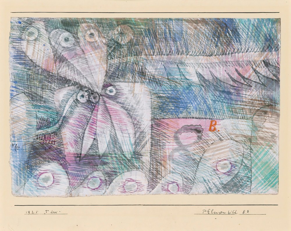 Pflanzen Bild 8.B, 1925