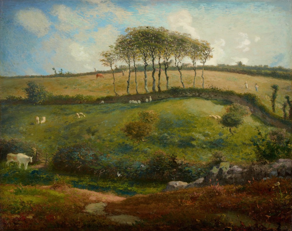 Pasture near Cherbourg (Normandy)